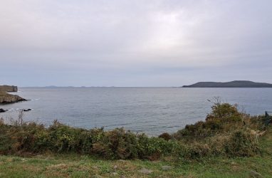 В Приморье ущерб от загрязнения воды зерновой пылью оценили в 3,2 млн рублей