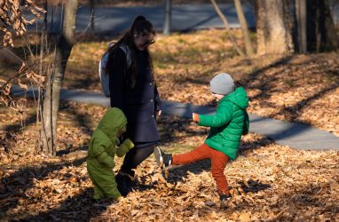 Выплаты по маткапиталу в Приморье выросли на 434,6 млн рублей в 2026 году