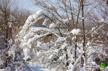 Дождь и мокрый снег ожидаются во Владивостоке 16 ноября (подробности)