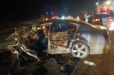 В Приморье в ДТП с грузовиком погибли две женщины