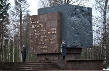 Ещё три приморца могут стать обладателями знака «Жителю блокадного Ленинграда»