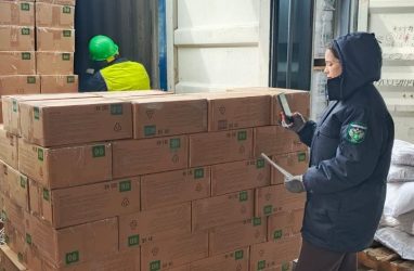 В Приморье не пустили почти 40 тонн утиного пера из Вьетнама