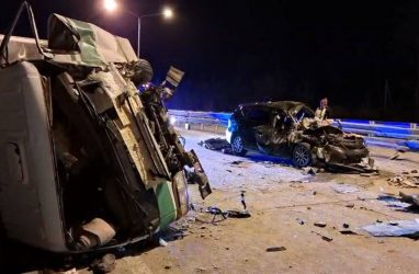 В ДТП с грузовиком, трактором и легковушкой в Приморье погибли два человека