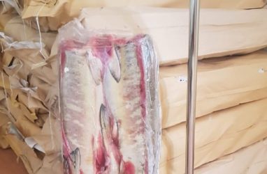 В приморском Дальнегорске родственникам участников СВО раздадут рыбу