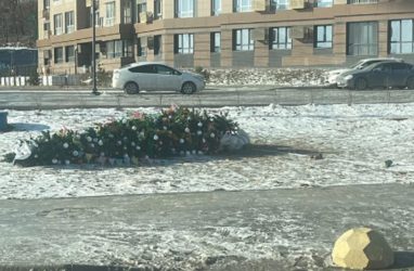 Во Владивостоке рухнула новогодняя ёлка