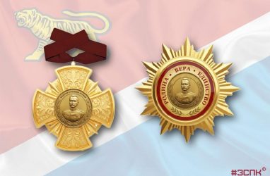 В Приморье учредили новые региональные награды