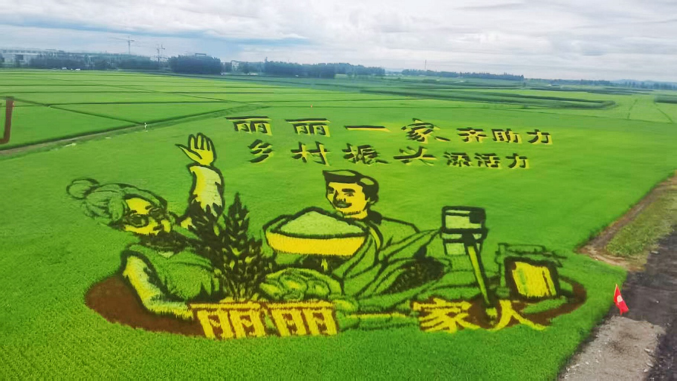 «Моя «Пятилетка 14». Чэнь Лили: «Я хочу поместить земляков в «семейное фото благополучия»