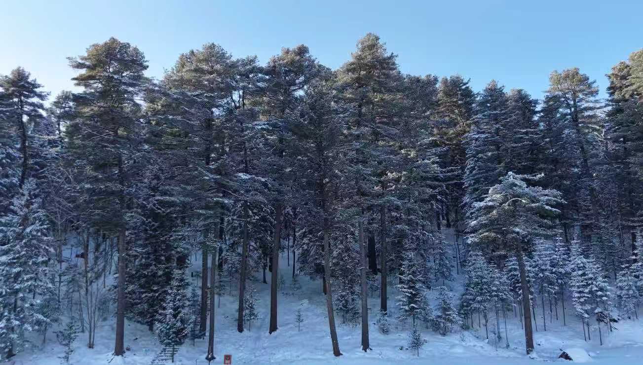 «Моя «Пятилетка 14». История трансформации стража экологии