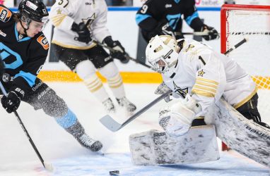 Хоккеисты &laquo;Адмирала&raquo; пропустили два гола в концовке и проиграли в Минске