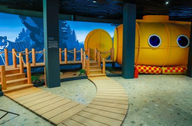 Филиал наццентра &laquo;Россия&raquo; во Владивостоке принял 50-тысячного посетителя