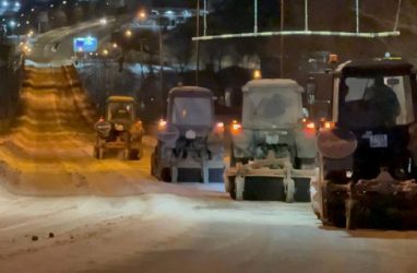 В мэрии Владивостока заявили, что Рудневский мост безопасен