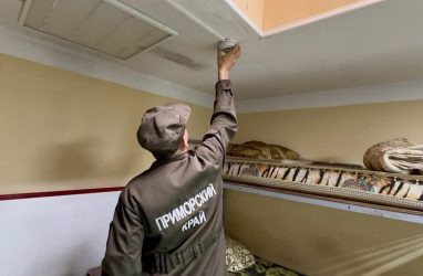 Монтаж автоматической пожарной сигнализации: что важно учесть