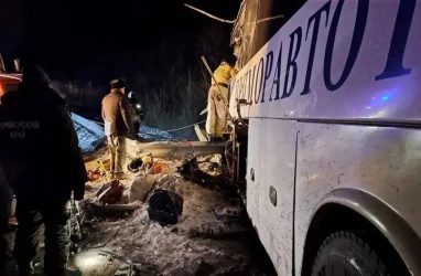 В автобус в Приморье врезался грузовик под управлением гражданина КНР