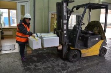 Рыбу с кишечной палочкой и особо опасными бактериями не пустили в Приморье