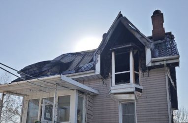 В приморском зоопарке &laquo;Садгород&raquo; объявили сбор средств после пожара