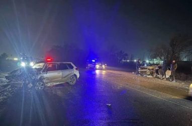 В ДТП в Приморье попала семья, женщина погибла