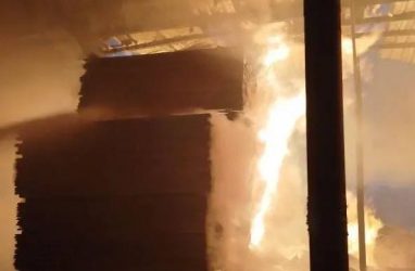 В Приморье горели пиломатериалы на территории производственного цеха