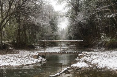 В Приморье создали настольную игру «Тайга 100 лет»