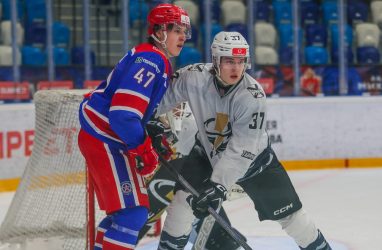 Хоккеисты &laquo;Тайфуна&raquo; проиграли &laquo;Академии Михайлова&raquo;