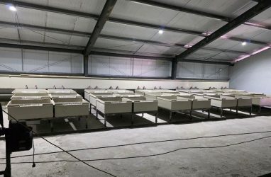 В Кавалеровском округе сдали новый рыбоводный завод