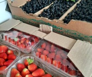 С начала 2026 года во Владивосток ввезли почти четыре тонны импортных ягод