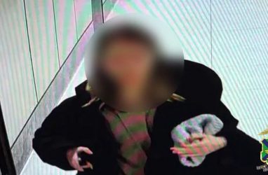 Во Владивостоке прилетевшая из Москвы &laquo;биодрон&raquo; украла ₽6 млн и $95 тысяч