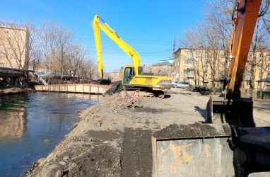 Рыба вернулась в реку Объяснения во Владивостоке