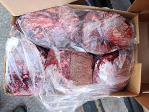 В Приморье не пустили 11 тонн опасного мяса буйвола