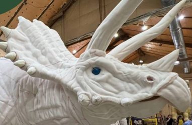 В Минном городке Владивостока появится «Динопарк» с движущимися фигурами ящеров