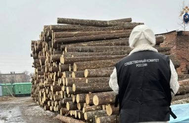 В Приморье 12-летний мальчик погиб на складе брёвен
