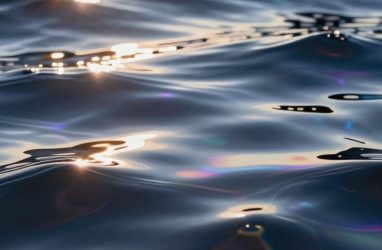 Жители острова Русский сообщили о нефтяном пятне в акватории у мыса Подножья