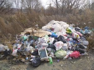 Заросший сельхозучасток с мусорной свалкой обнаружили в Приморье