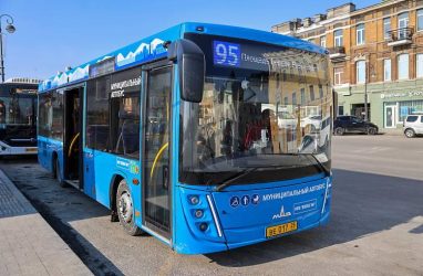 В Приморье многодетным семьям компенсируют затраты на проезд школьников