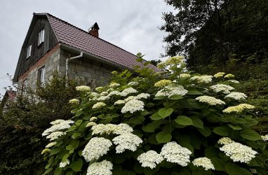 За два месяца в Приморье поставили на учёт 619 новых частных домов