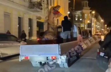 Во Владивостоке наказали водителя за перевозку аниматора в костюме динозавра