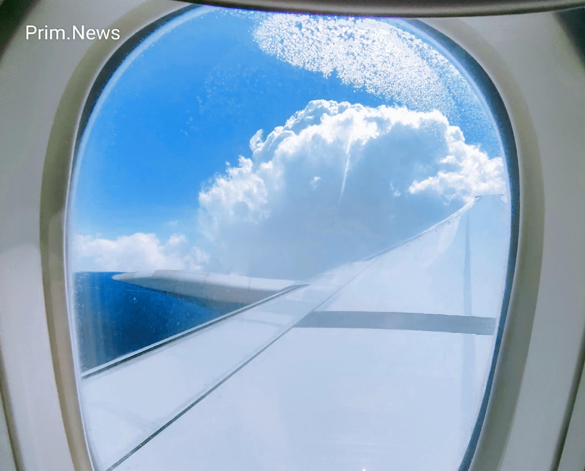 В этом году приморцы брали с собой за границу даже своих черепах