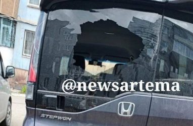 В приморском Артёме дети забросали камнями припаркованные машины