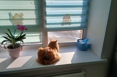 Средняя цена &laquo;квадрата&raquo; нового жилья во Владивостоке превысила ₽200 тысяч