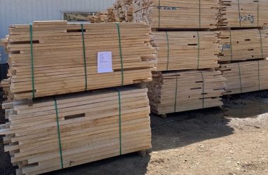 Дощечки для изготовления карандашей экспортировали из Приморья в марте 2026-го