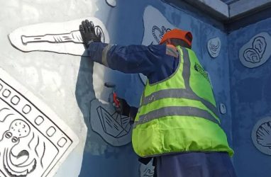 В мэрии Владивостока объяснили, зачем закрасили стены подземных переходов