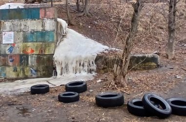 Власти прокомментировали планы по новому мусорному комплексу на юге Приморья