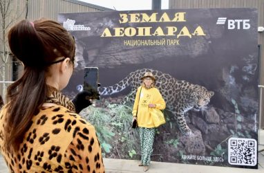 Сотрудники &laquo;Земли леопарда&raquo; отличились на конкурсе экопросветителей
