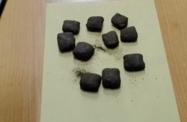В лесу во Владивостоке задержали молодых москвичей с партией метилэфедрона
