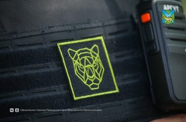За неделю «Тигр-правопорядок» помог задержать во Владивостоке 19 нарушителей
