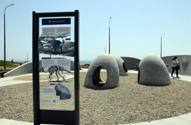 Первый палеопарк на Дальнем Востоке открыли во Владивостоке на острове Русский