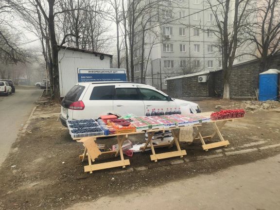 О борьбе с незаконной торговлей и штрафах рассказали в мэрии Владивостока