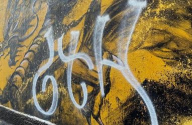 Вандалы испортили мурал китайского художника Ци Синхуа во Владивостоке