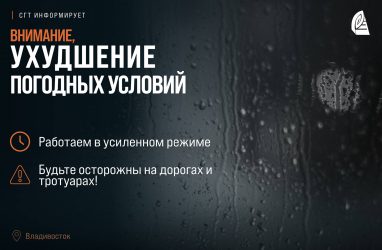 Во Владивостоке днём 30 июля разразилась гроза, сопровождающаяся сильным ливнем