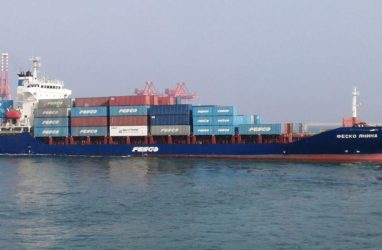 Контейнеровоз FESCO &laquo;Янина&raquo; затонул в Чёрном море в результате атаки дронов