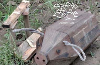 Во Владивостоке в парке &laquo;Снеговая Падь&raquo; вандалы сломали кабанчиков